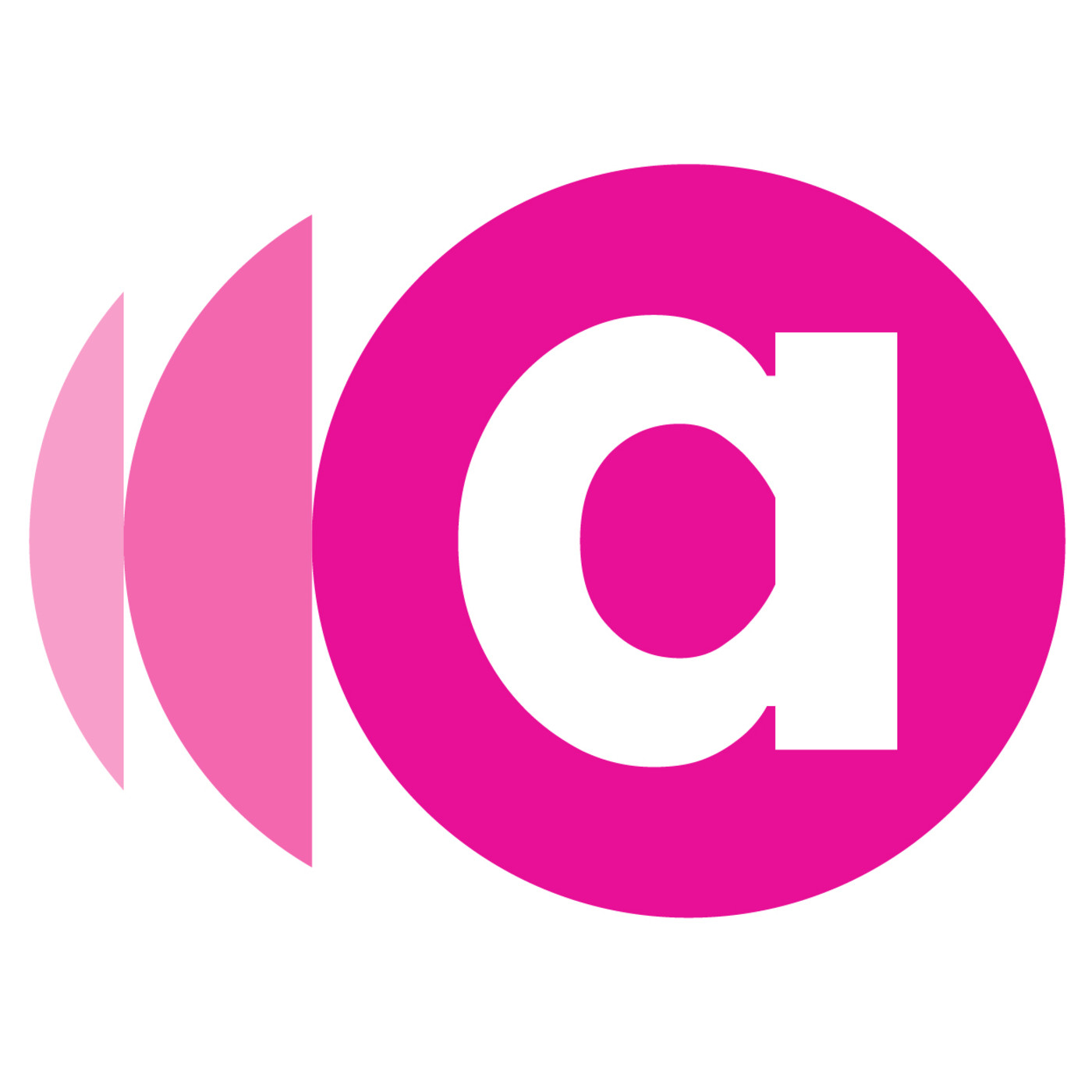 Alzira Intercultural