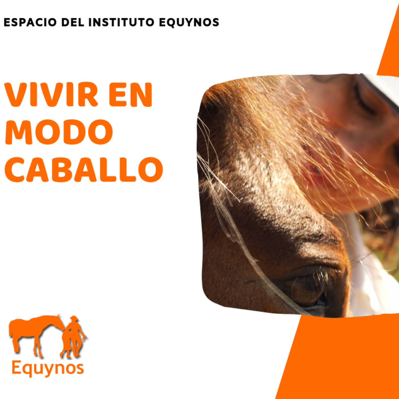 Vivir En Modo Caballo