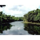 Ariguanabo