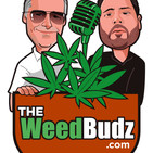 Episode 14: Maine Cannabis Chronicle