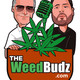 Episode 14: Maine Cannabis Chronicle
