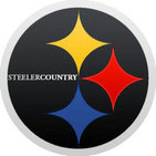 135: Week Three 2014, Steelers 37 Panthers 19