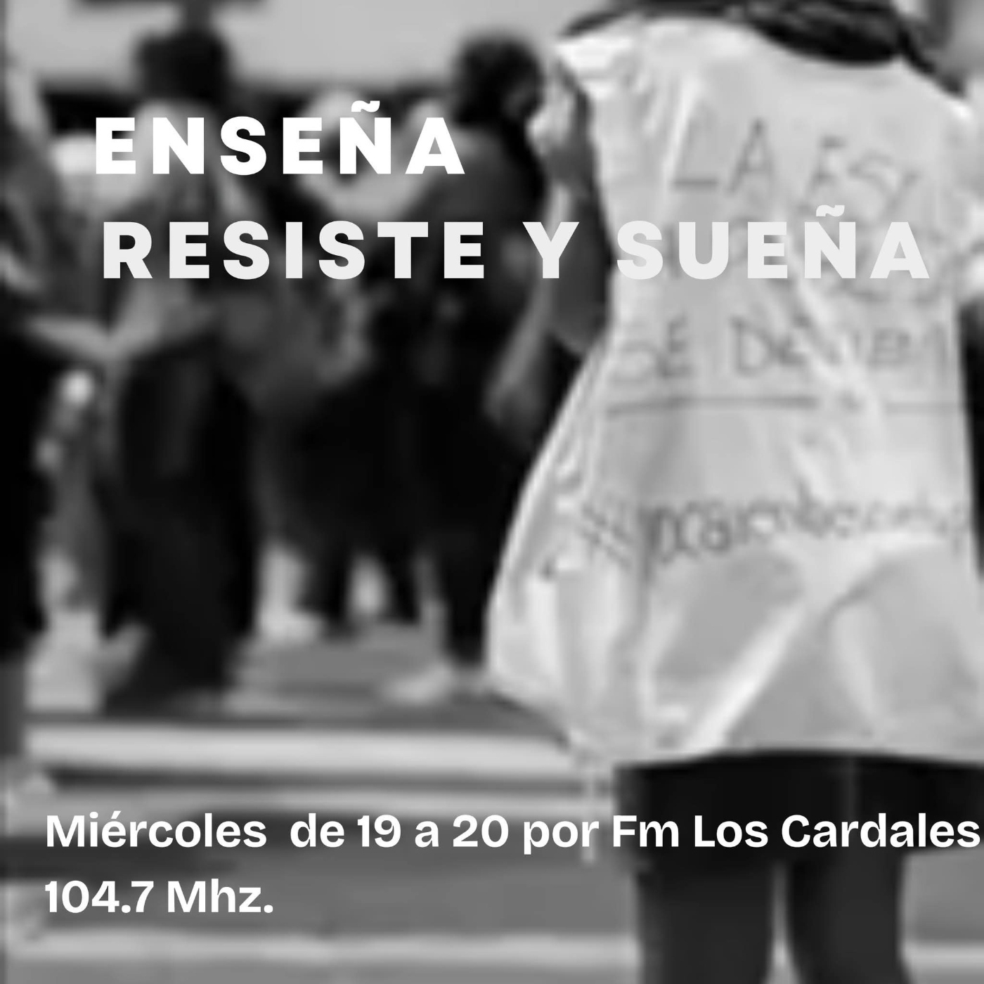 Enseña Resiste y Sueña