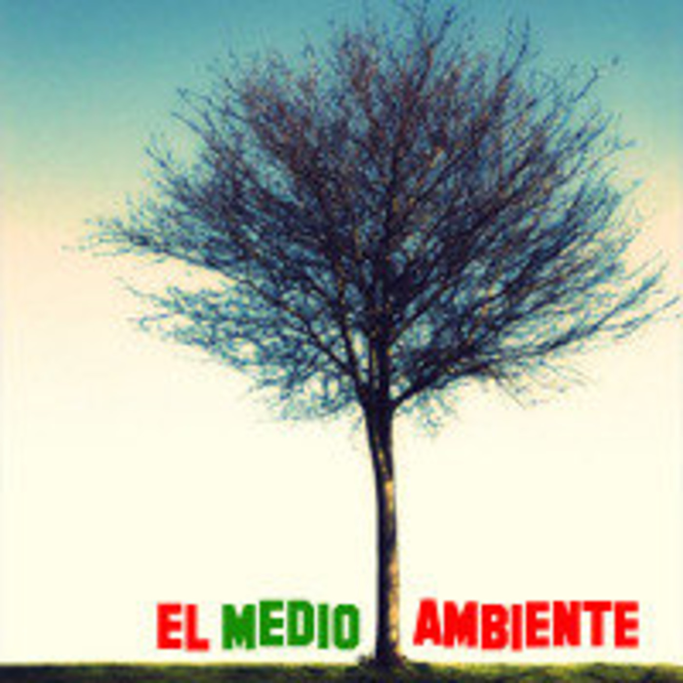 Diseño Natural de Muebles