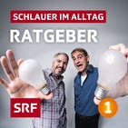 Frischer Schnittlauch für den Winter