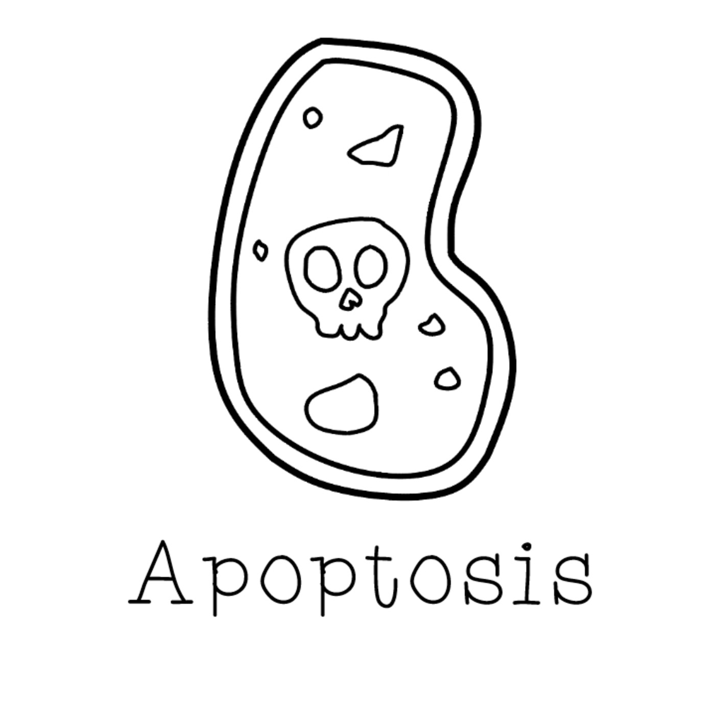 Apoptosis