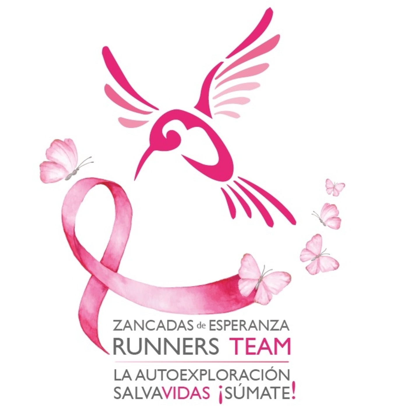 RADIO ZANCADAS