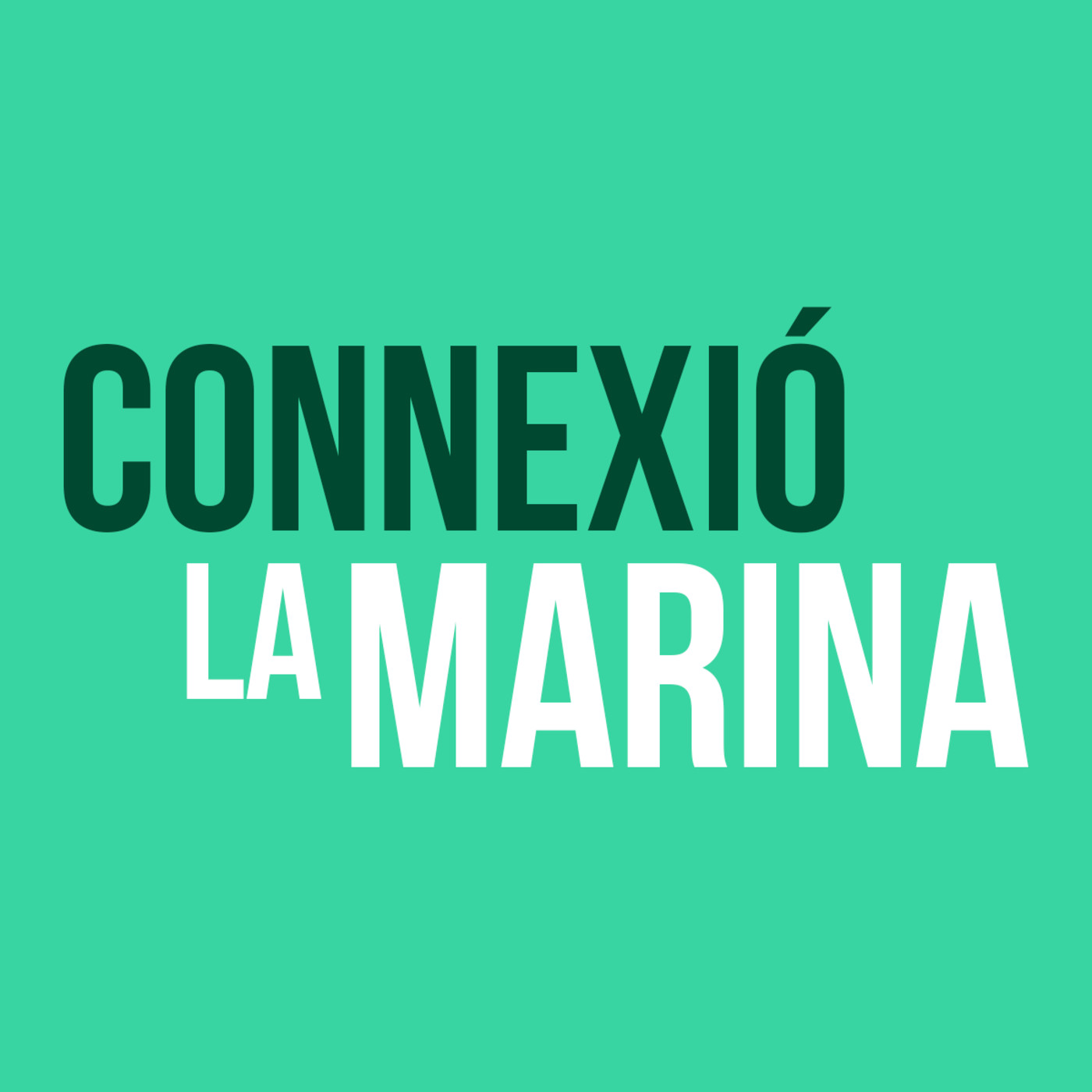 Connexió La Marina - Seccions