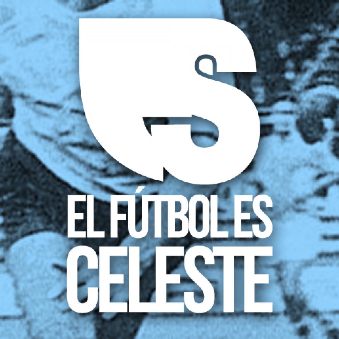 Secciones EFEC