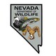Backcountry Hunters And Anglers