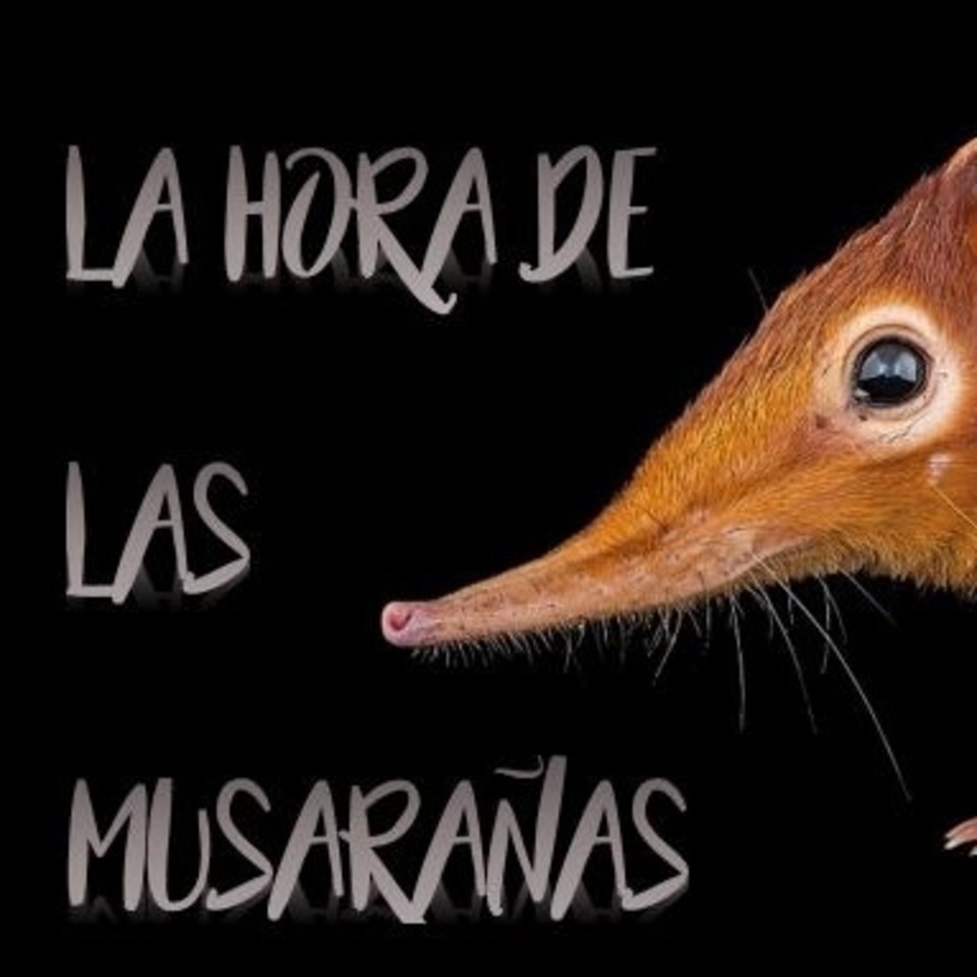 La hora de las musarañas