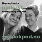 #24 Mentorprogram, sommerfest & utdanning