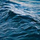 La Plaça - La mar de curiós: històries del mar