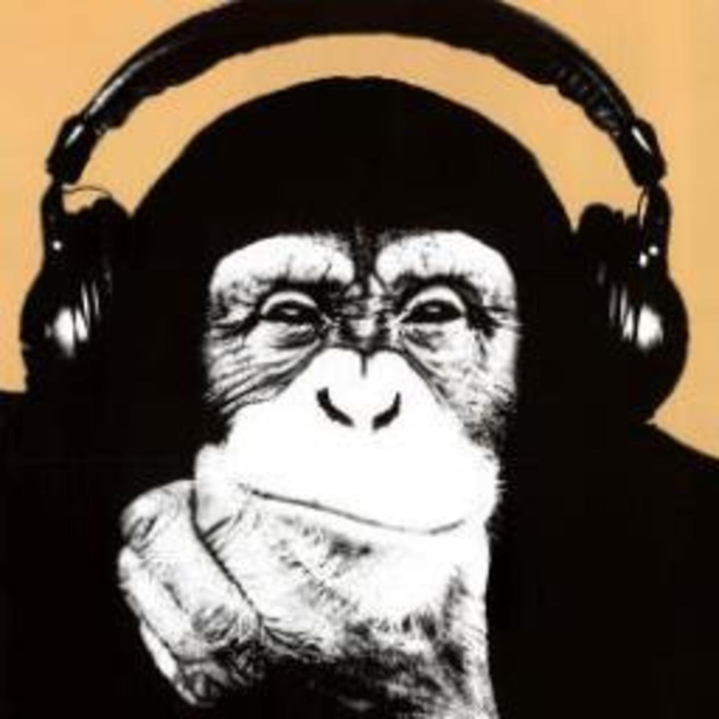 ¡Van a por Nosotros! Radio Show