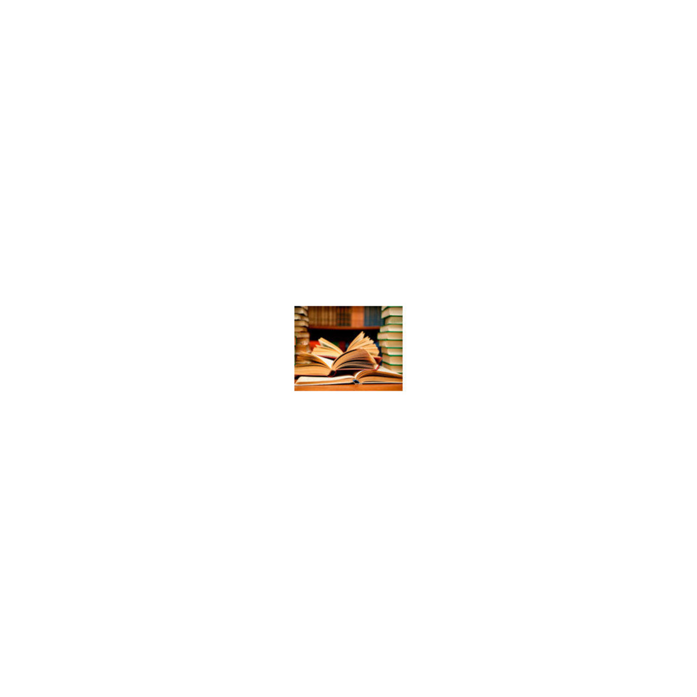 L\'illa dels llibres