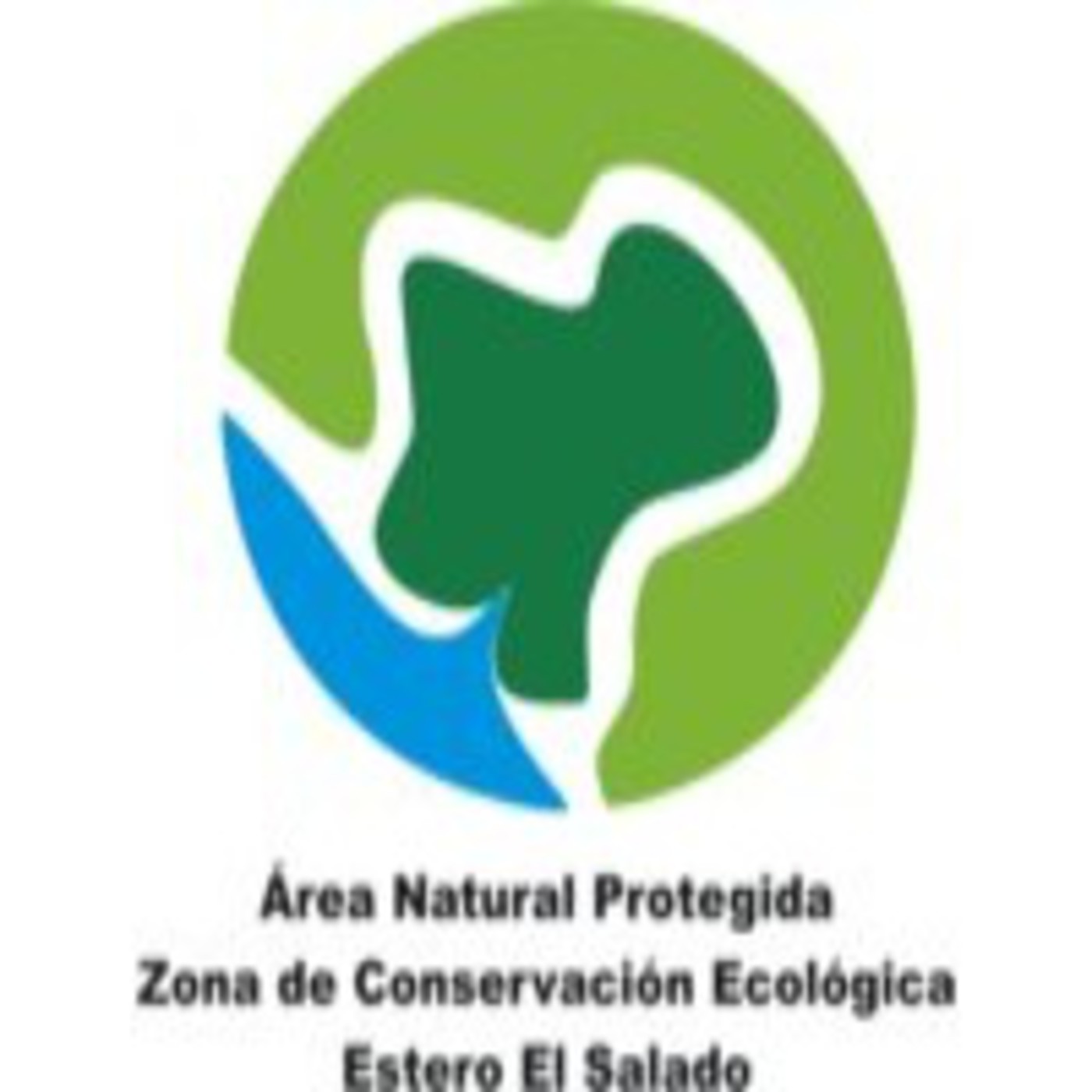 Estero Fónico... Las Voces del Salado