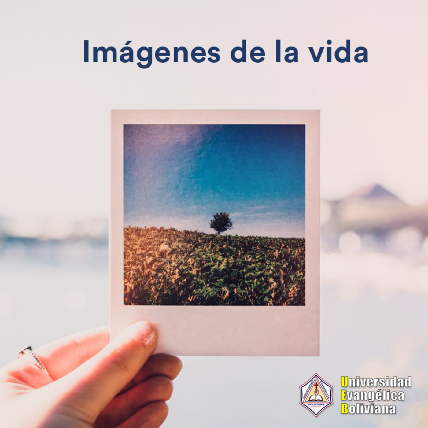 Imágenes de la vida