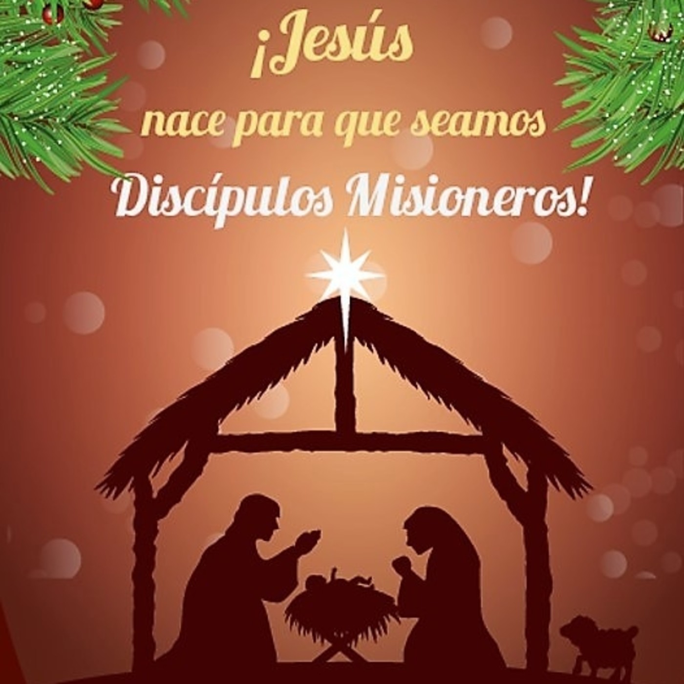 Novena de Navidad 2017