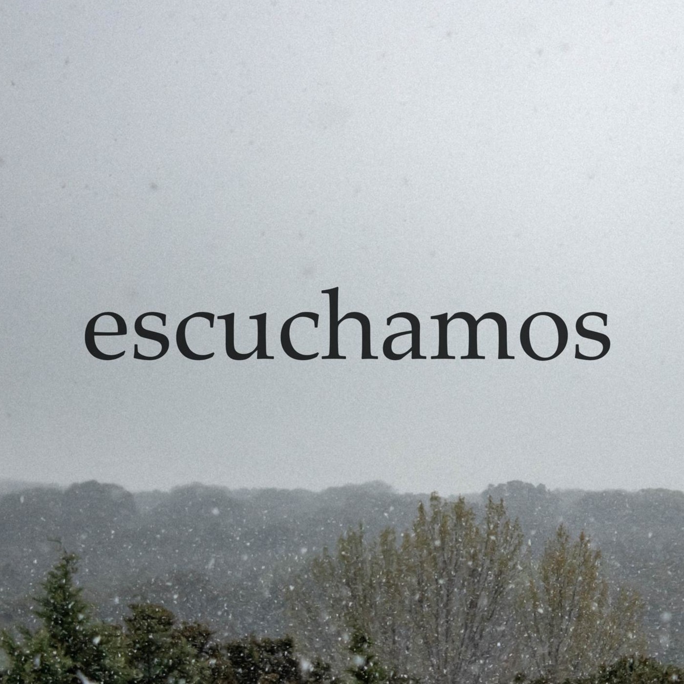 Escuchamos