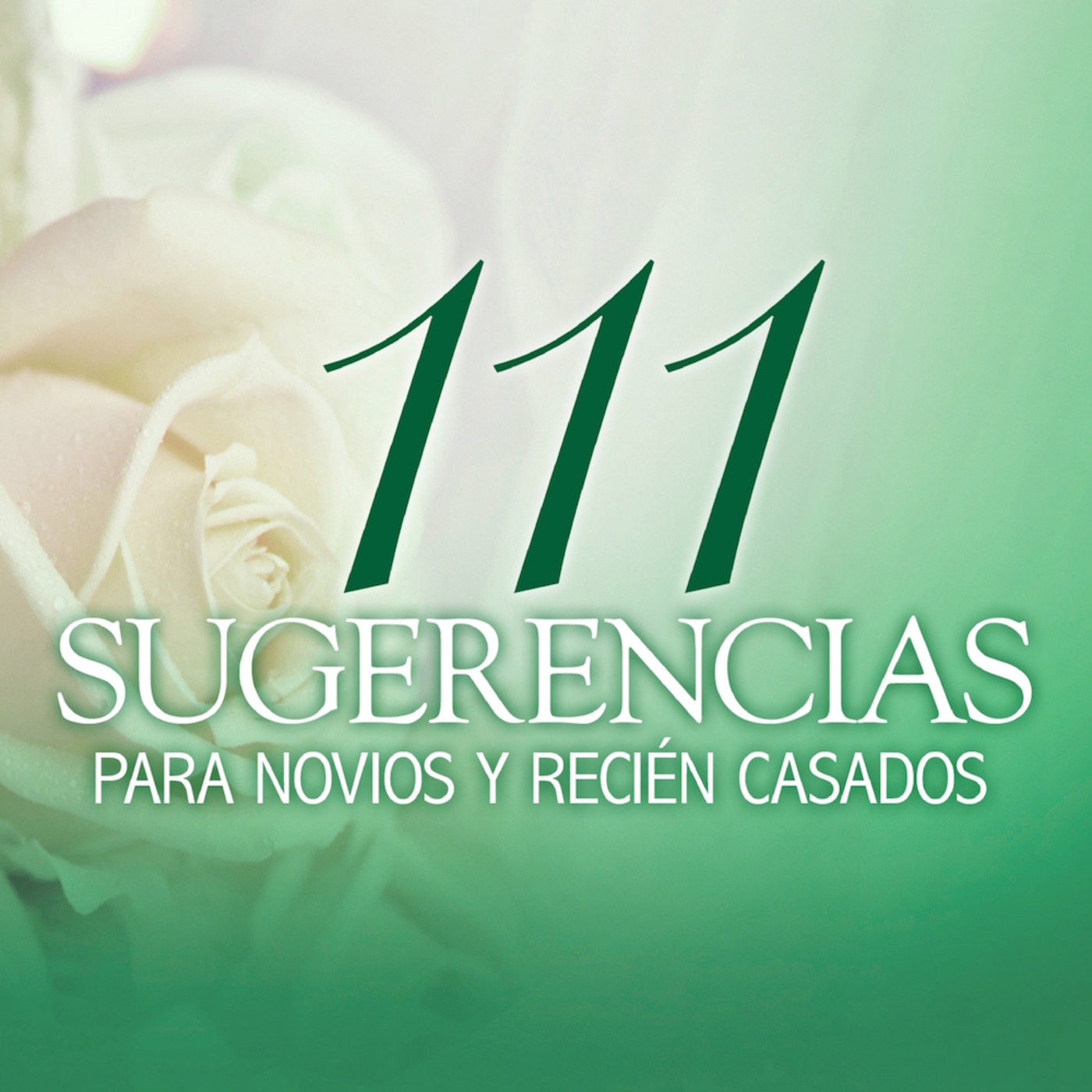 111 sugerencias para novios y recién casados