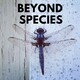 Caring for Wild Animals