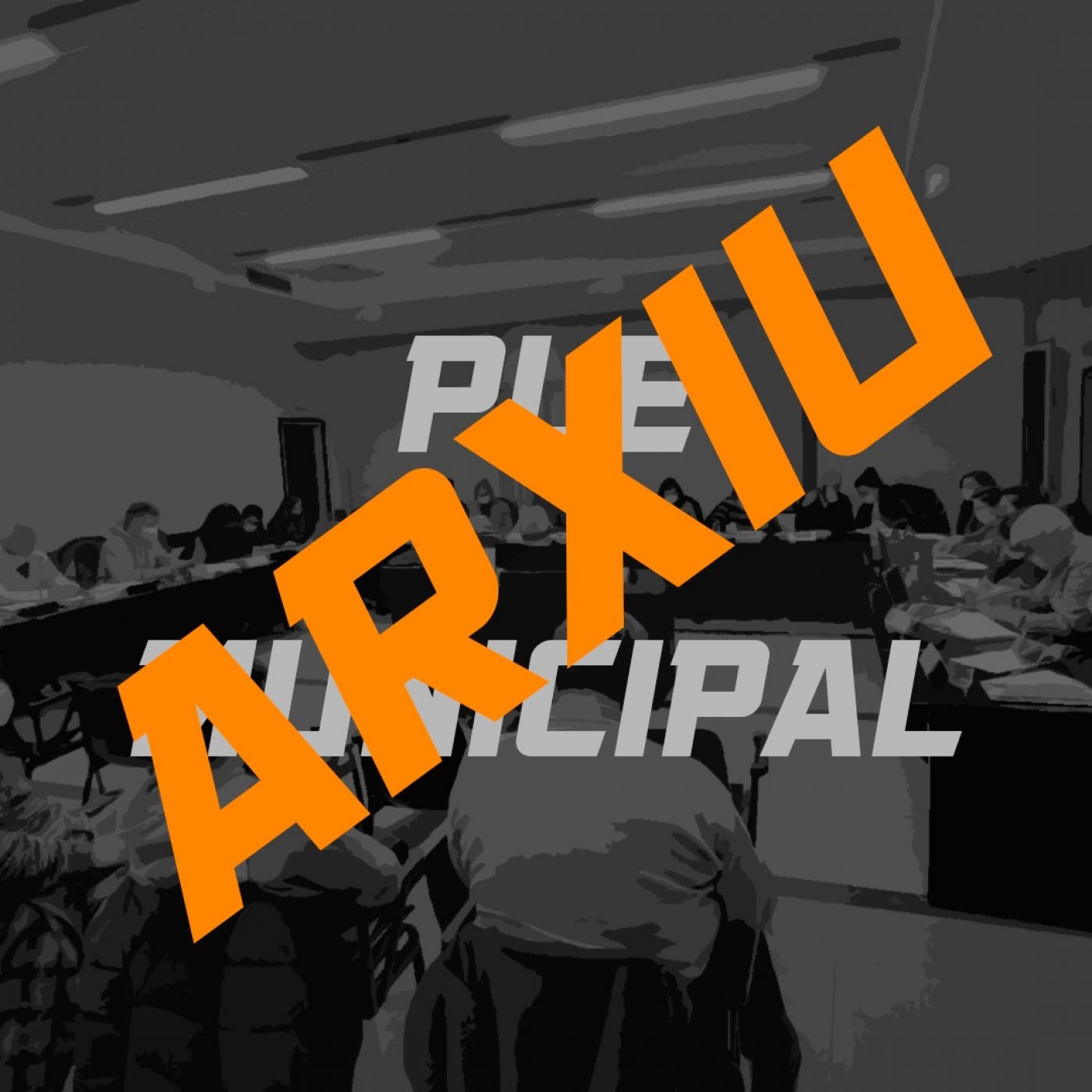 Ple Municipal (Arxiu)
