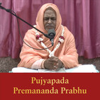 2020-01-23 - Srila Bhaktivedanta Narayana Gosvami Maharaj Avirbhav mangala adivas - Sripad Premananda Prabhu.MP3