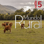 Mundo rural - Ayudas para el sector de la apicultura - 09/12/19