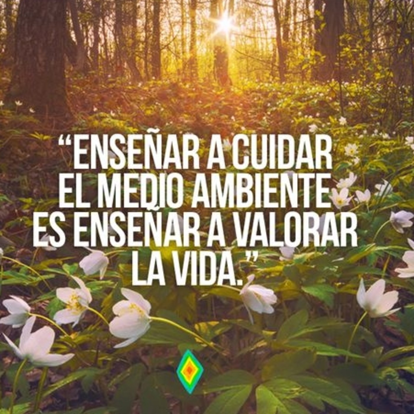 Saludos de fin de año - 2017