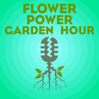 Flower Power Garden Hour 13: Spanish Peppers….a story of gardening tips and the history of this pepper in Gloria Lo...