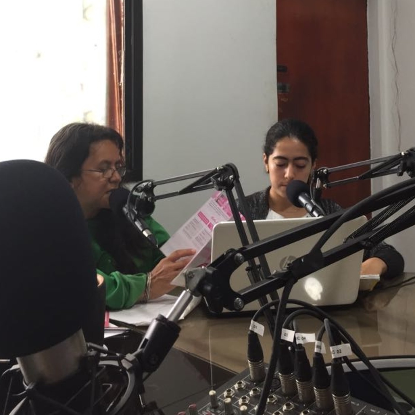 Voces que no tienen voz 