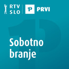 José Saramago: Leto smrti Ricarda Reisa