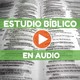 embed image