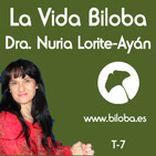 Dra. Nuria Lorite Ayán