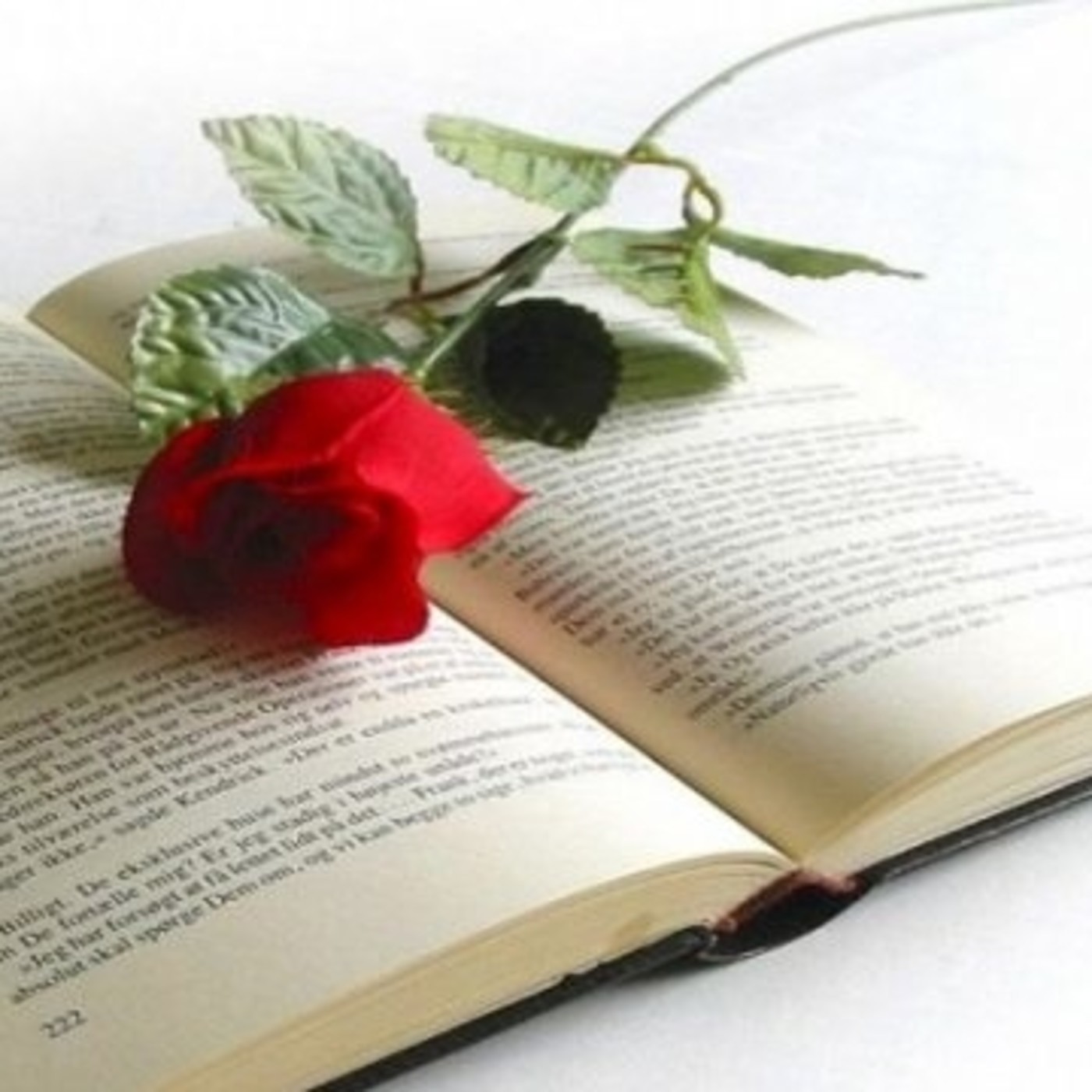 CONTES DE SANT JORDI 2018