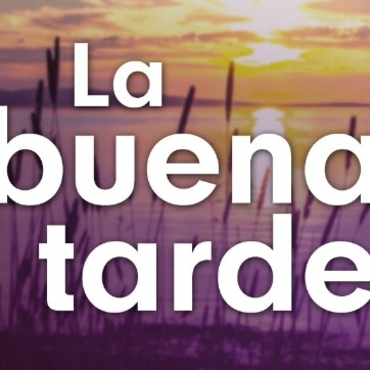 La Buena Tarde RPA