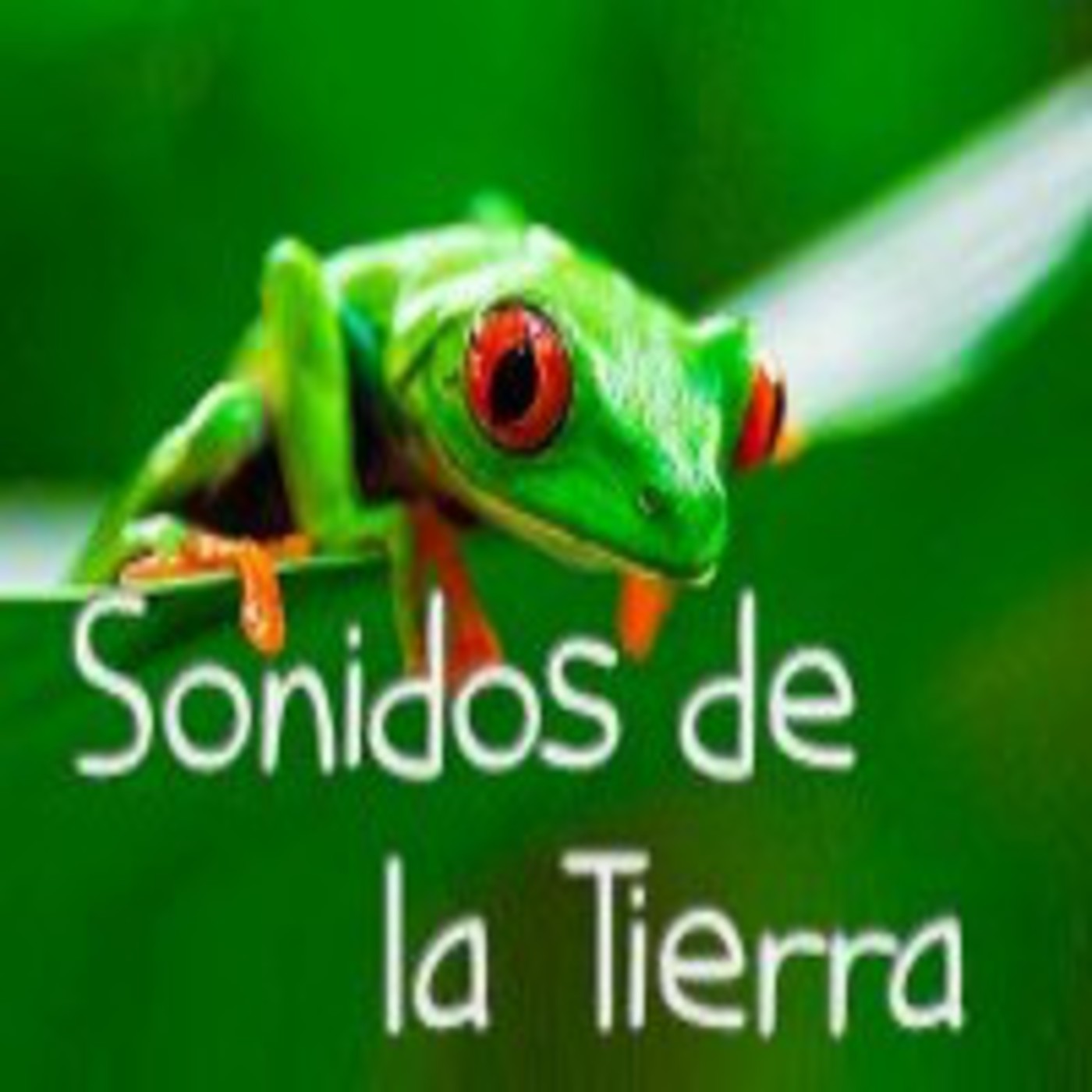 Sonidos de la Tierra