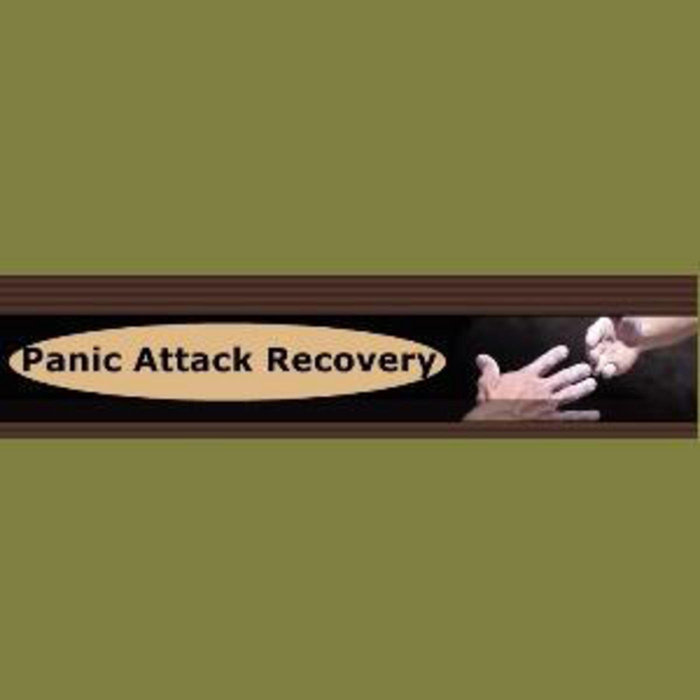 Panic Attacks Recovery and Anxiety Agoraphobia Hel