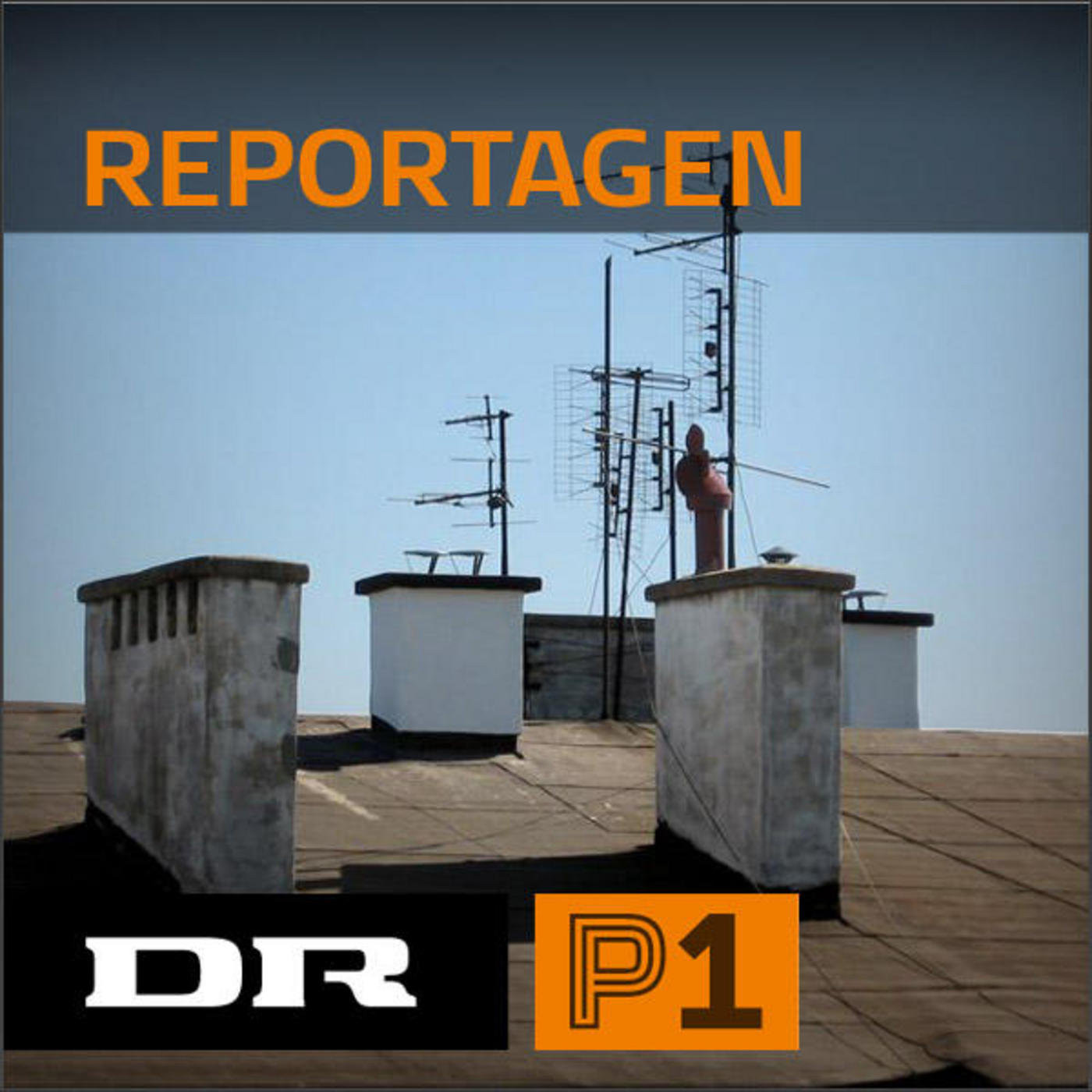 Reportagen