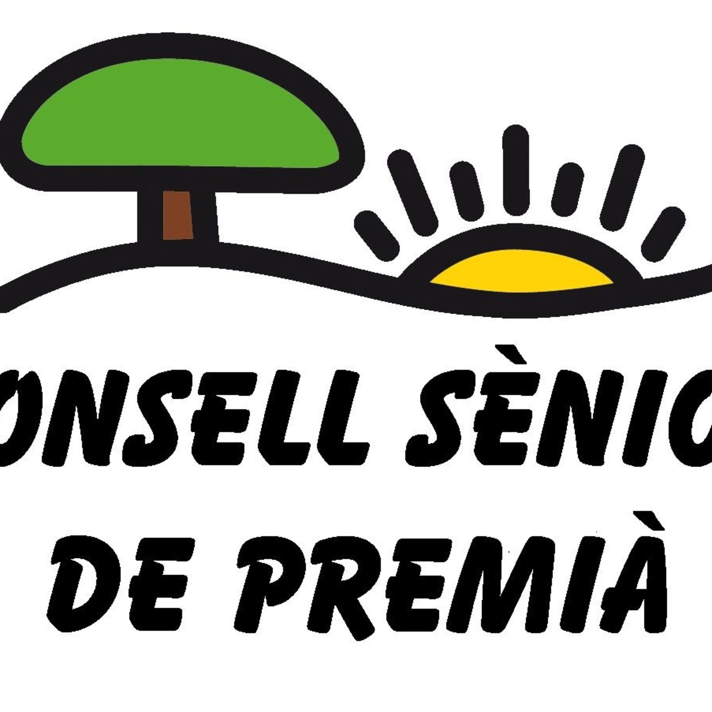 Consell Sénior