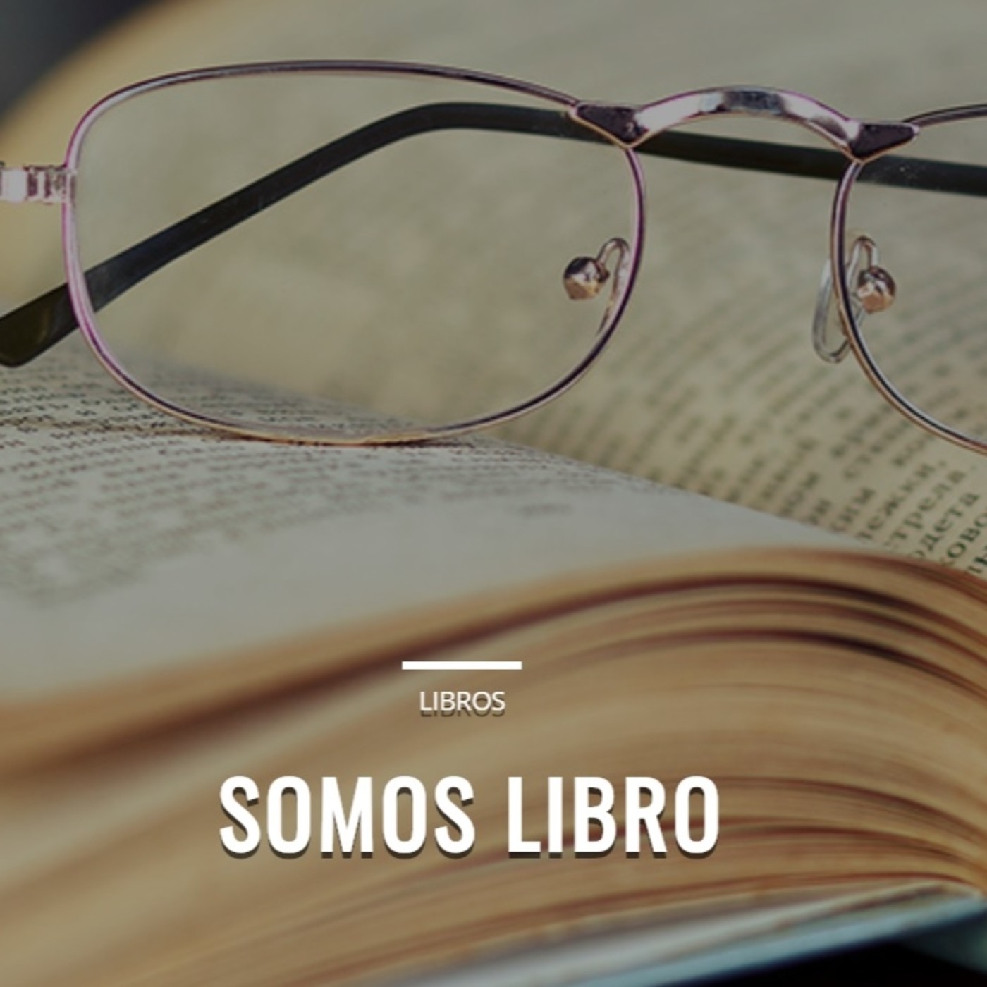 Somos libro