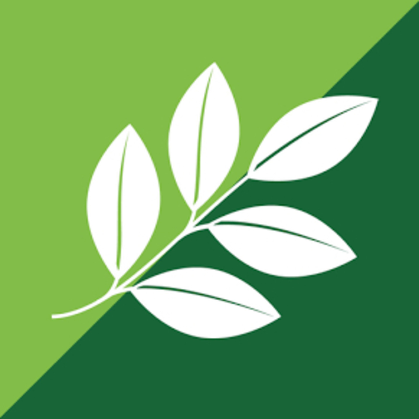 Nutrición y Bienestar