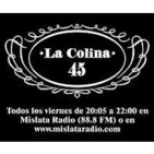 La Colina 45 nº 19 (Sobreviviendo a Mubarak + Entrevista a Los Radiadores)
