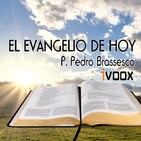 7 de julio de 2019