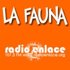 La Fauna - 14 de noviembre de 2019 - Noiah y Juán Saurín