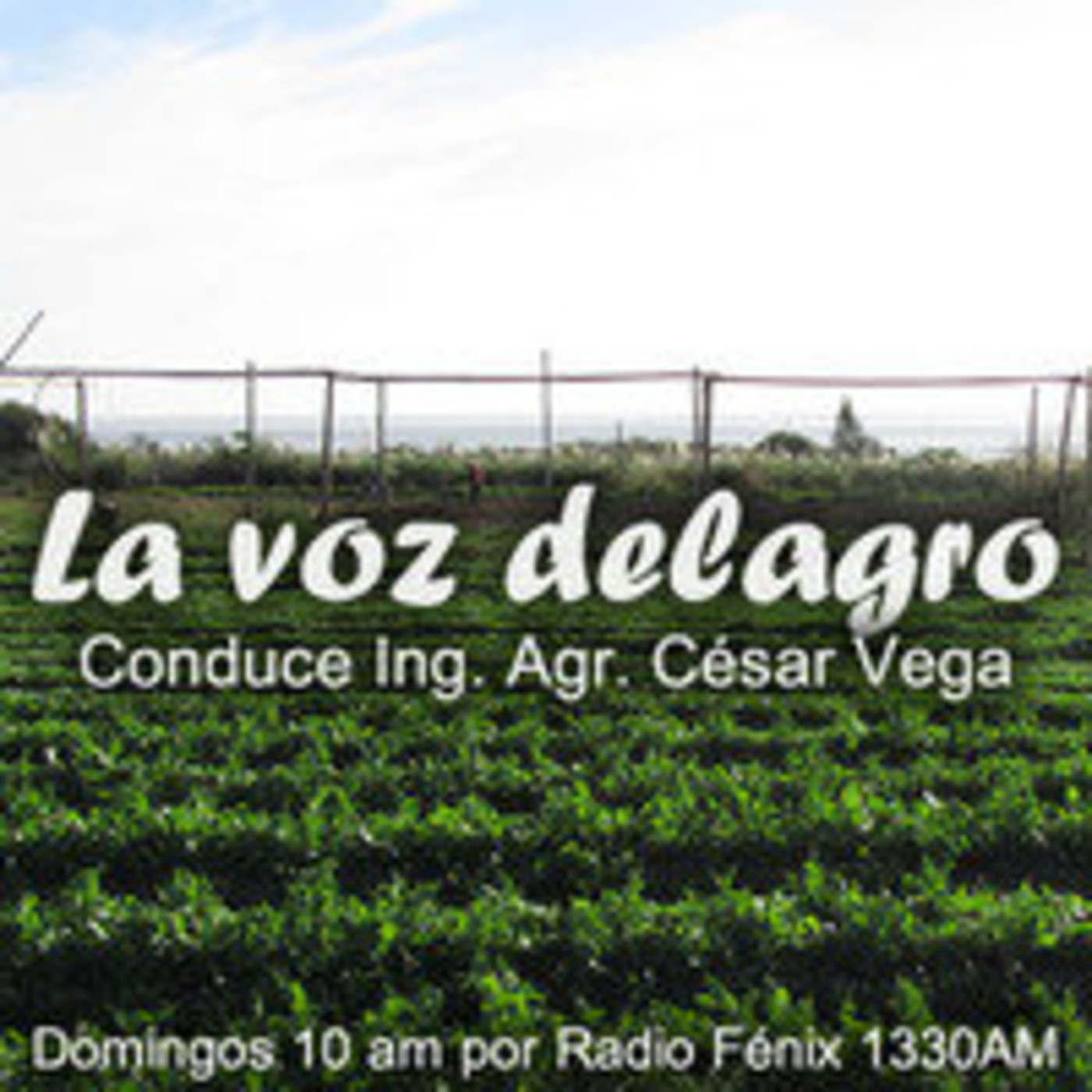 Podcast respaldoDelagro