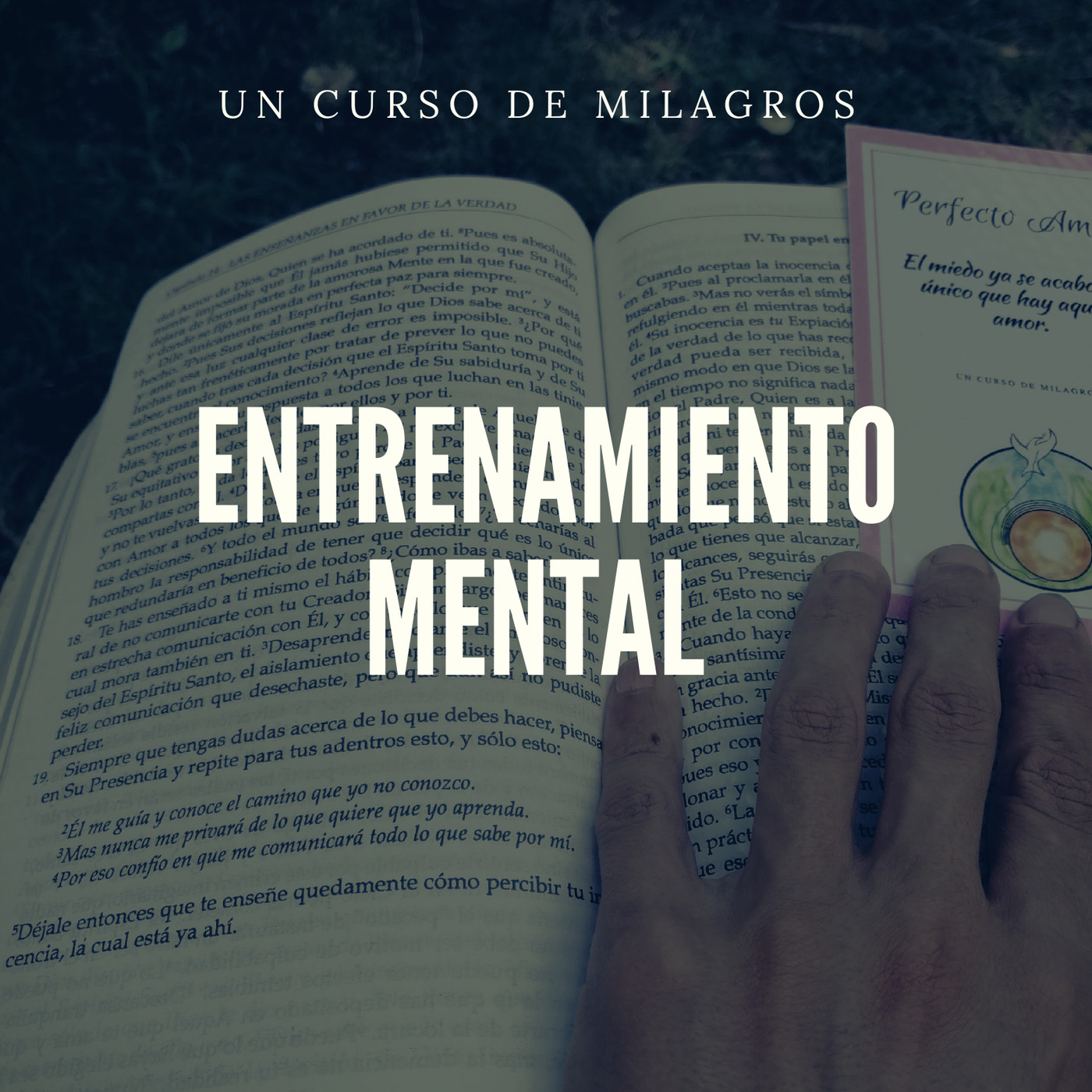 Entrenamiento Mental