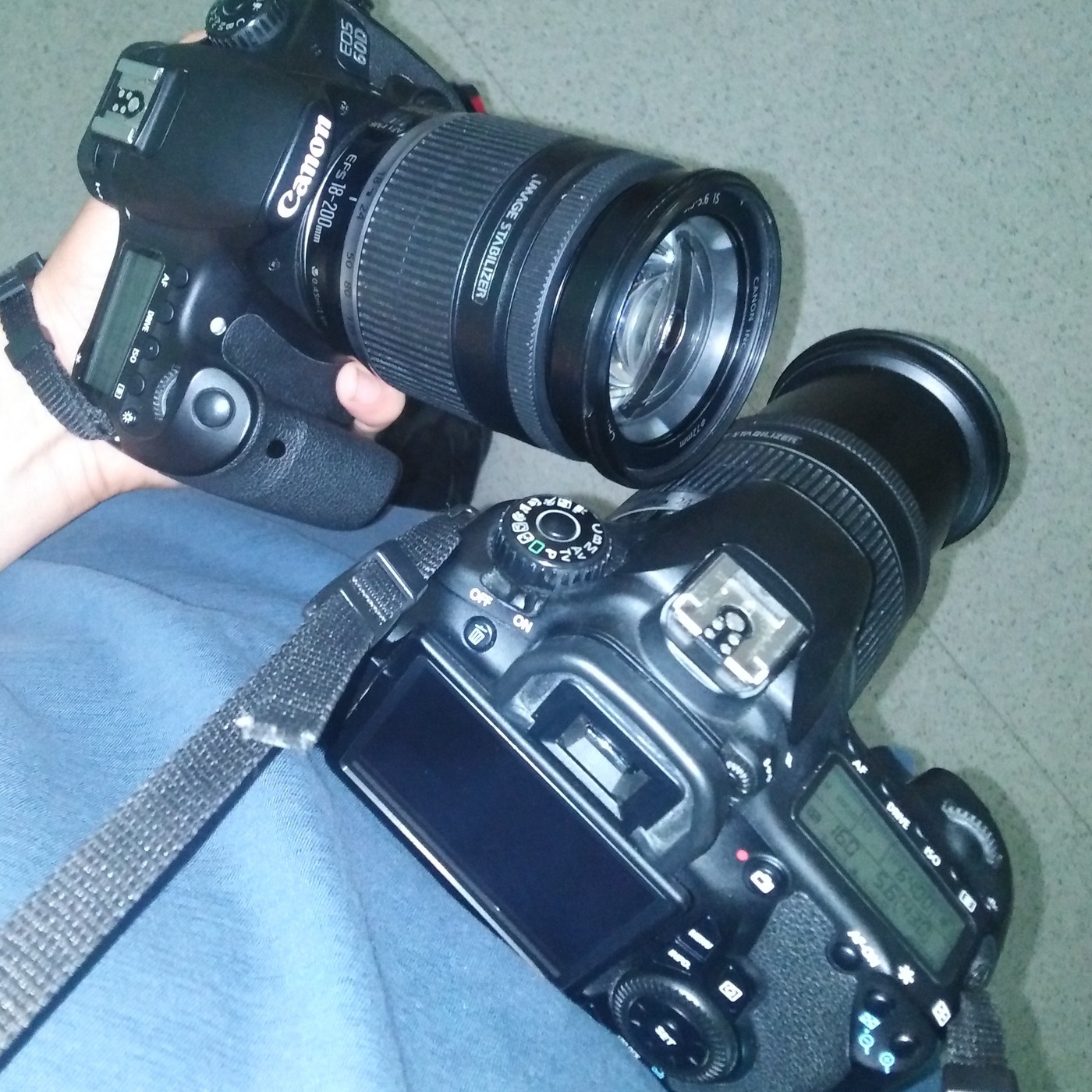 daniel alonso torres montano