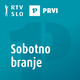 Lucia Berlin: Priro?nik za ?istilke