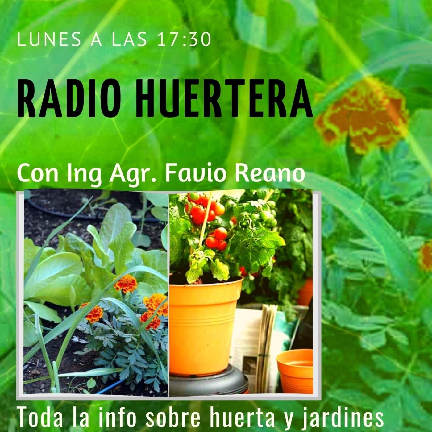 Radio Huertera